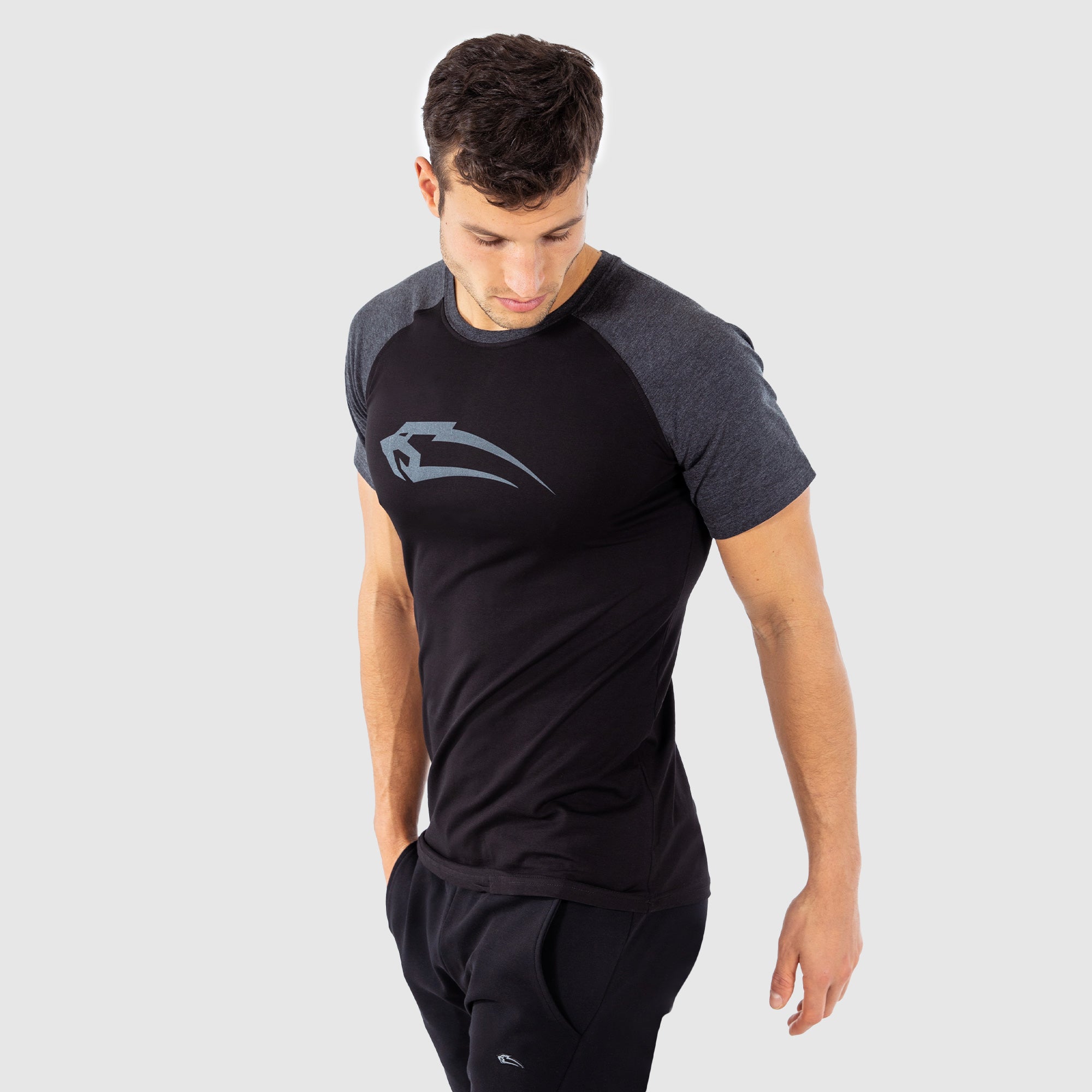 Tシャツ レイ4.0
