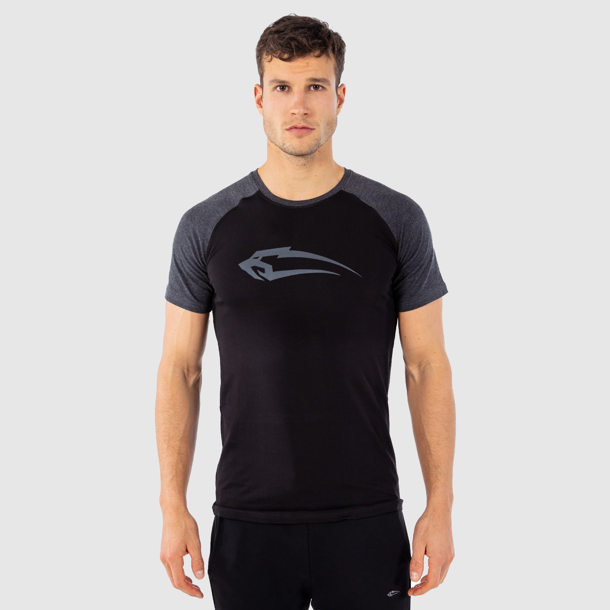 Tシャツ レイ4.0