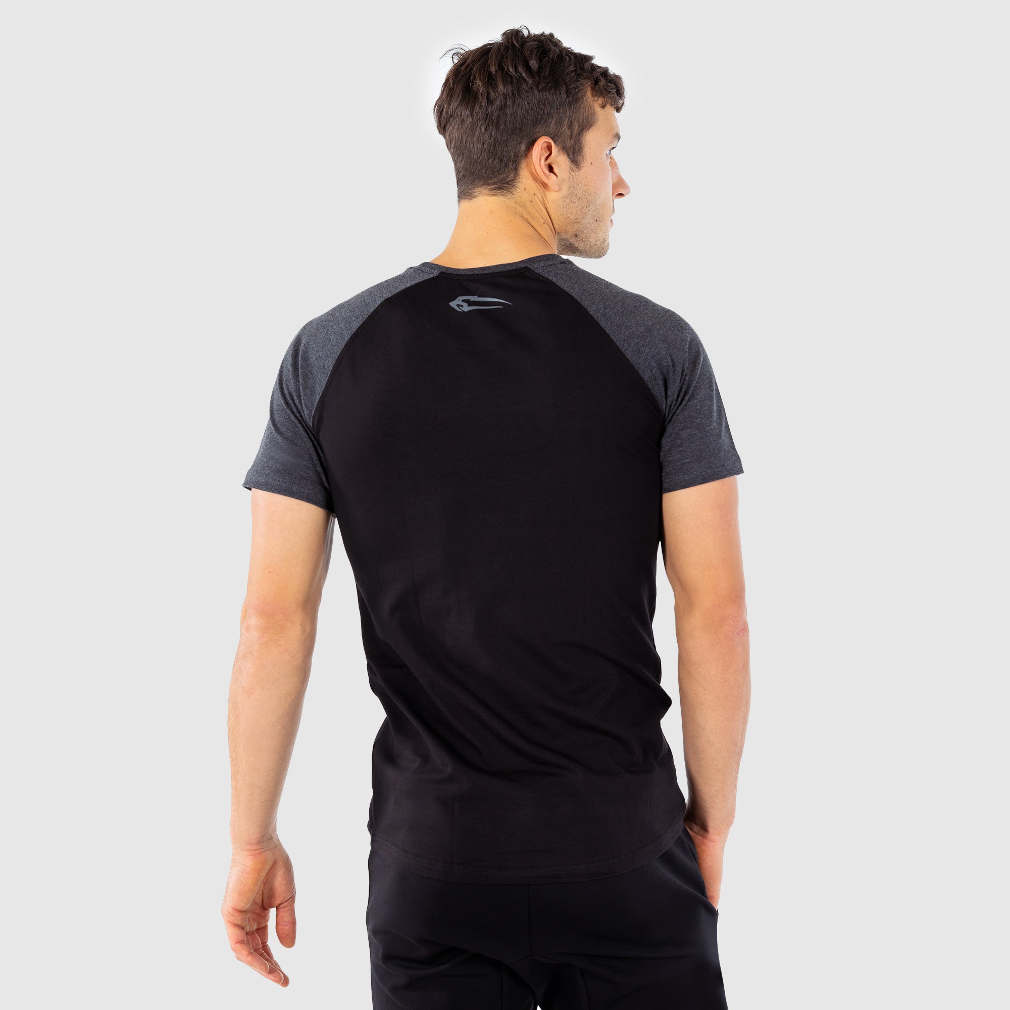 Tシャツ レイ4.0