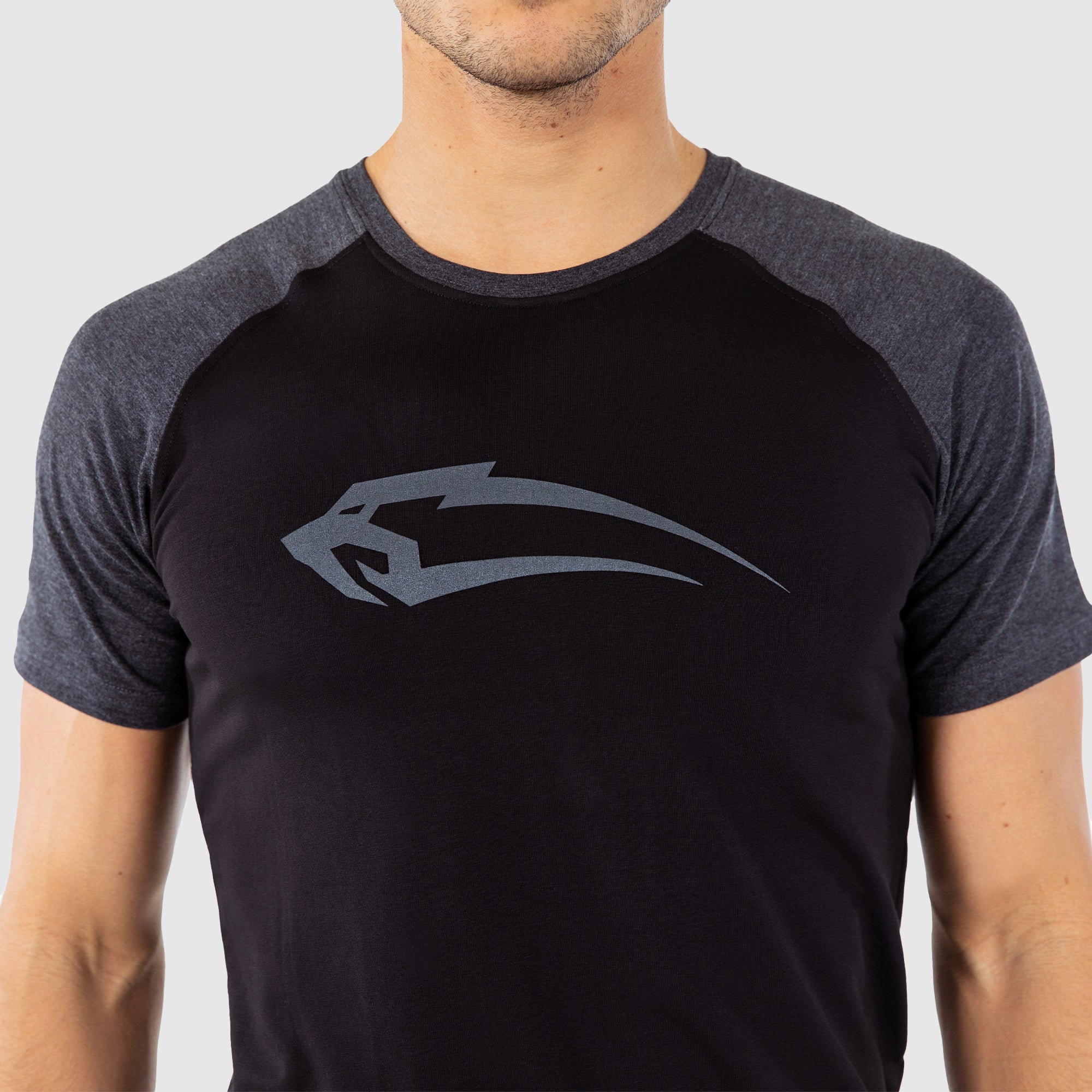 Tシャツ レイ4.0