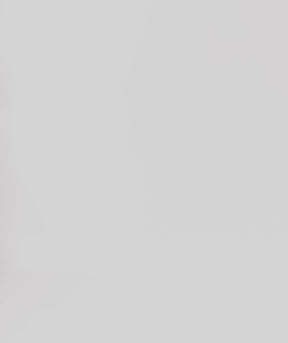 タンクトップ レイ