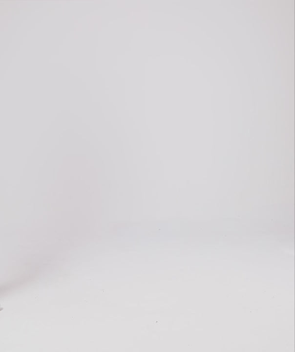 Tシャツ ヘイリー