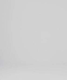 ブリーフフェリシャ