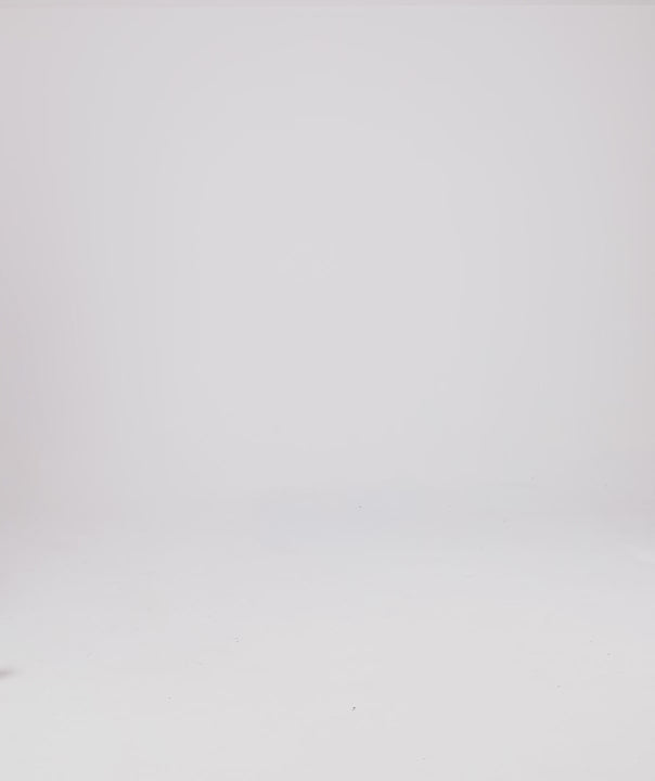 Tシャツ ヘイリー