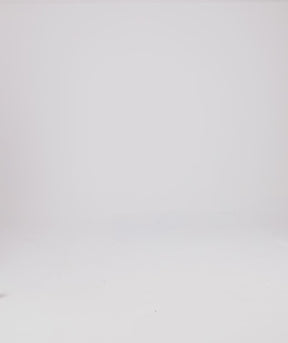 Tシャツ ヘイリー